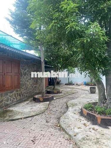 BIỆT THỰ MINI VƯỜN BÌNH MỸ- 550M2 - GIA ĐÌNH ĐỊNH CƯ MỸ - TÌM CHỦ MỚi