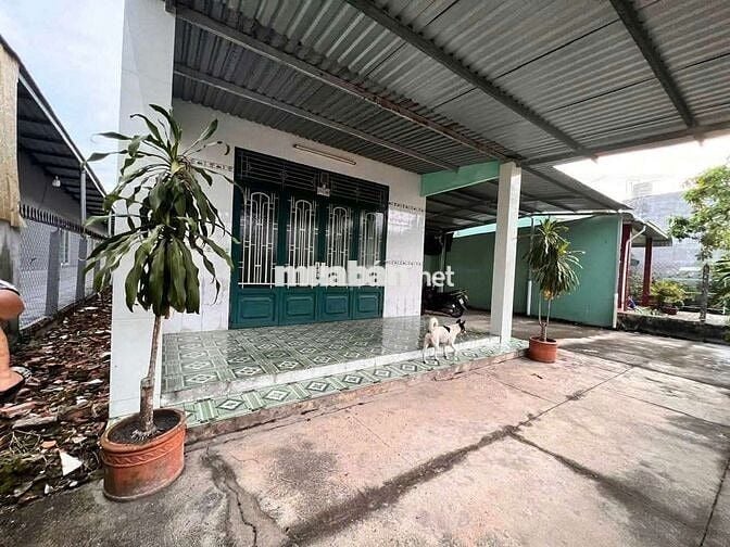Bán đất Tân An mặt nhựa thông tặng nhà cấp 4, 660m2 sẵn 300 thổ cư