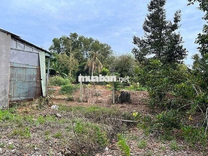 Bán đất Tân An mặt nhựa thông tặng nhà cấp 4, 660m2 sẵn 300 thổ cư