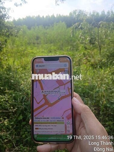 CHÍNH CHỦ CẦN BÁN 7 SÀO LONG PHƯỚC