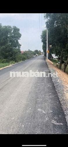 Mặt tiền đường nhựa xã Bình Chánh gần ngay trường Tiểu Học Kim Đồng