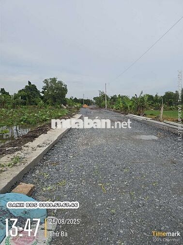 1000m2 đất mặt tiền đường nhựa 174