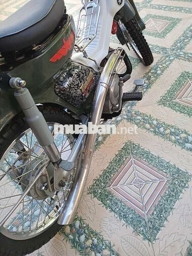 Cub yamaha
