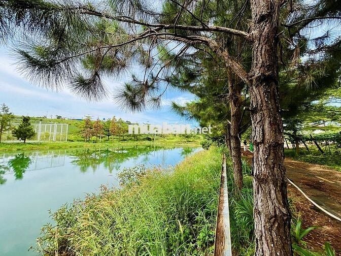 Bán đất 125m² Phường 2 – Bảo Lộc, khu compound, giá rẻ hơn 1/2 khu vực