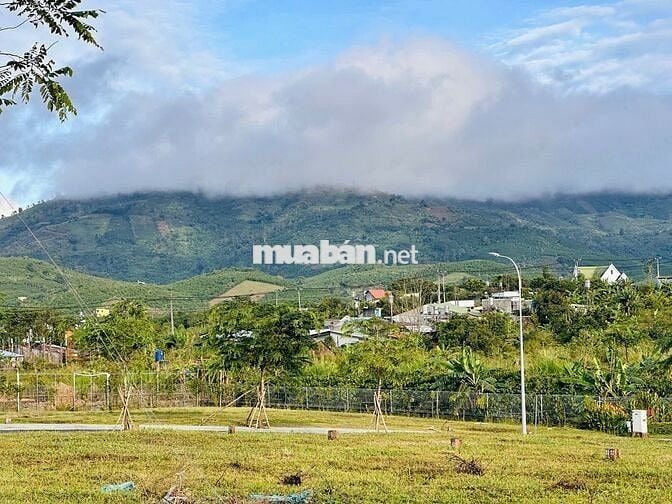 📍 Đất nền trung tâm Bảo Lộc – gần QL20, sổ đỏ riêng 🌿 Giá chỉ từ 2 tỷ