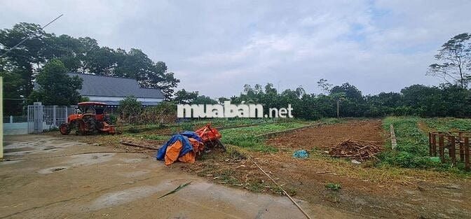 CHỈ 2,5TỶ SỞ HỮU NGAY 218,8m2 (đất ở 66m)BẠCH THẠCH XÃ PHÚ CÁT HÀ NỘI