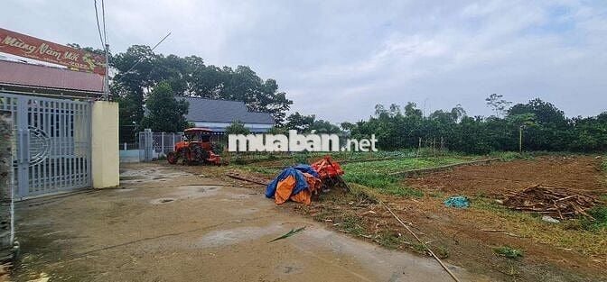 CHỈ 2,5TỶ SỞ HỮU NGAY 218,8m2 (đất ở 66m)BẠCH THẠCH XÃ PHÚ CÁT HÀ NỘI