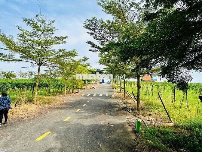 Bán đất 125m² Phường 2 – Bảo Lộc, khu compound, giá rẻ hơn 1/2 khu vực