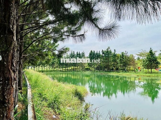 Bán đất 125m² Phường 2 – Bảo Lộc, khu compound, giá rẻ hơn 1/2 khu vực