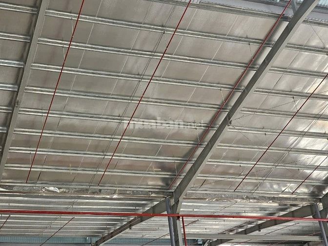 Kho xưởng mới xây, diện tích: 5.400m2 CCN Bến Lức,Long An,PCCC tự động