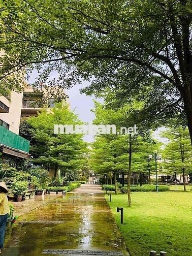 Bán gấp căn 3N, CC CT15 Việt Hưng Green Park, Long Biên