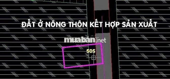 CHỦ NGỘP NỢ GỬI BÁN NHANH LÔ ĐẤT 220M2 XÃ NHUẬN ĐỨC, CỦ CHI. GIÁ 650TR
