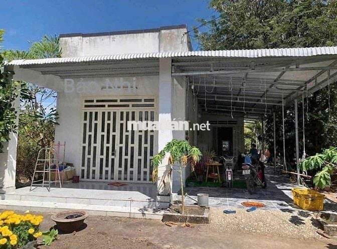Thanh lý nhà vườn 1520m2 có sẵn nhà cấp 4 và vườn trái cây ăn trái