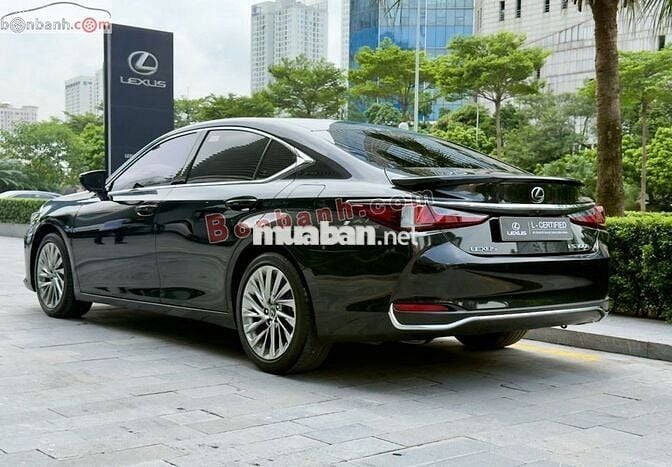 Lexus ES 300h 2023