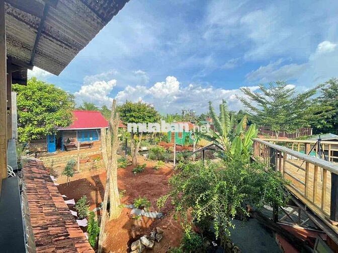 cho thuê  nhà vườn 700m phù hợp nghỉ dưỡng lm homestay