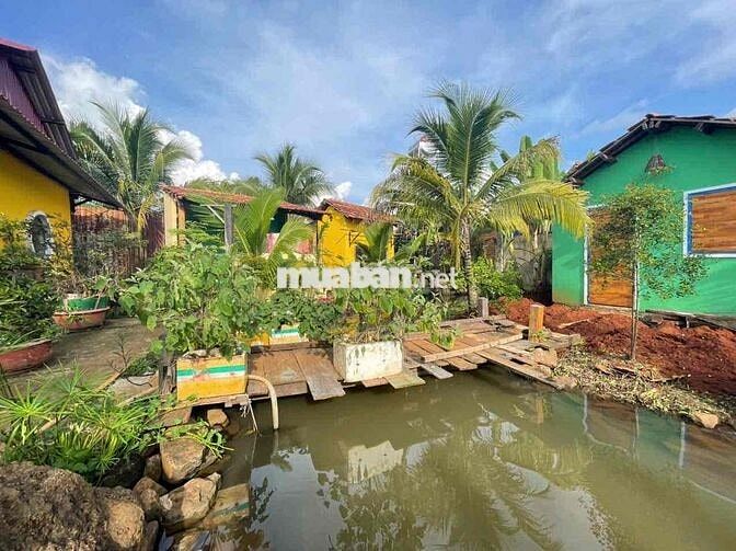 cho thuê  nhà vườn 700m phù hợp nghỉ dưỡng lm homestay