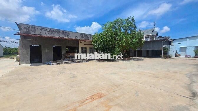 CHO THUÊ MẶT BẰNG 6000m2 MẶT TIỀN QUỐC LỘ 51 GẦN NHÀ THỜ HẢI SƠN