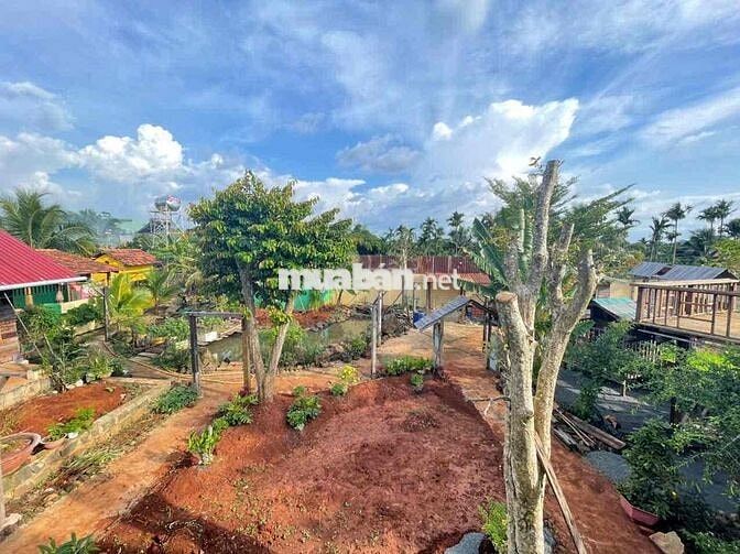 cho thuê  nhà vườn 700m phù hợp nghỉ dưỡng lm homestay