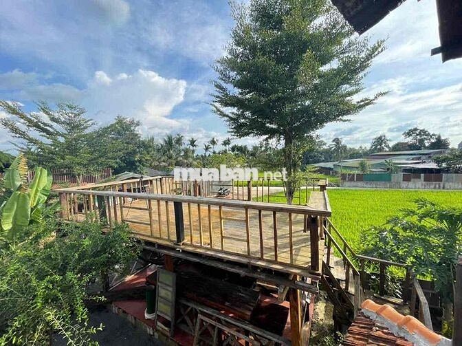 cho thuê  nhà vườn 700m phù hợp nghỉ dưỡng lm homestay