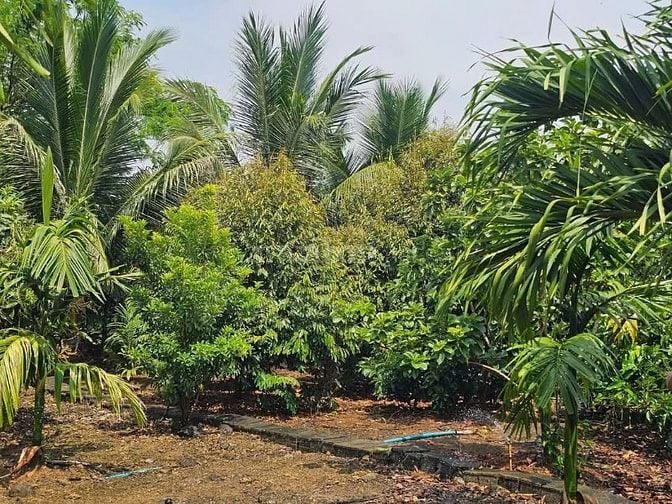 Bán Đất Thổ Vườn có nhà cấp 4_ dt 2540m2, Giá rẻ 600 triệu, Gần UB xã