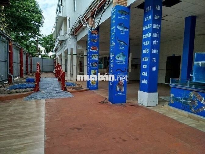Cho Thuê Nhà Đường Hoàng Việt, Tân Bình ( 3,000m2 - Quán - CHDV - KS )