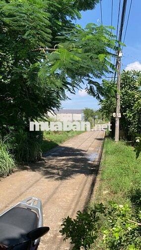 5000M2 ĐẤT NÔNG NGHIỆP - RẠCH CHIM- HIỆP PHƯỚC - NHÀ BÈ.