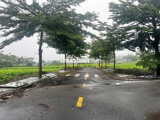 Bán nhanh lô đất 200m² Phường 2, khu compound, đường 14m, giá rẻ!
