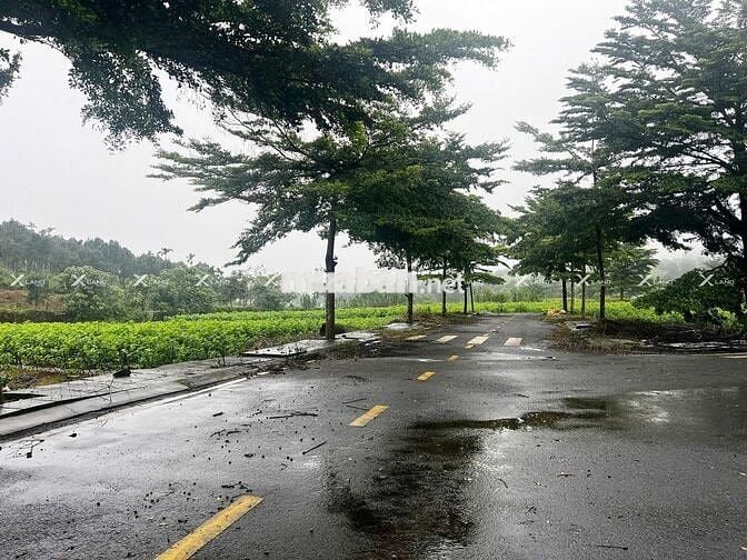 Bán nhanh lô đất 200m² Phường 2, khu compound, đường 14m, giá rẻ!