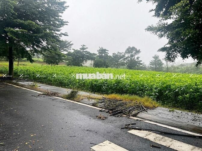 Bán nhanh lô đất 200m² Phường 2, khu compound, đường 14m, giá rẻ!