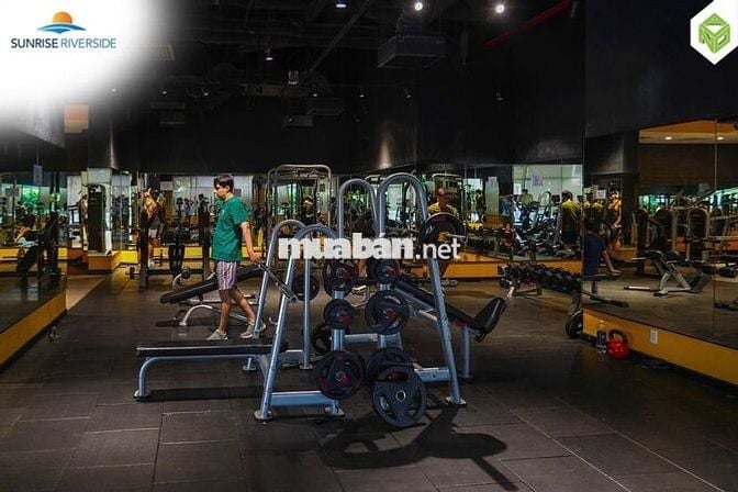 Căn hộ OT từ 2,3 tỷ gần ĐH Tôn Đức Thắng, nhận nhà ngay - TT trước 15%