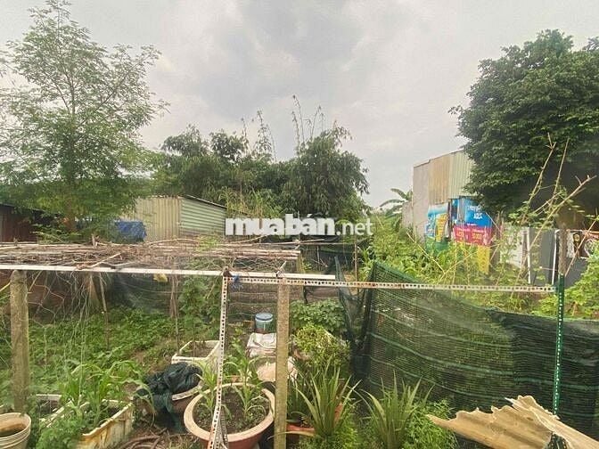 Giảm giá mạnh 500tr để bán nhanh lô đất ngay trung tâm khu dân cư