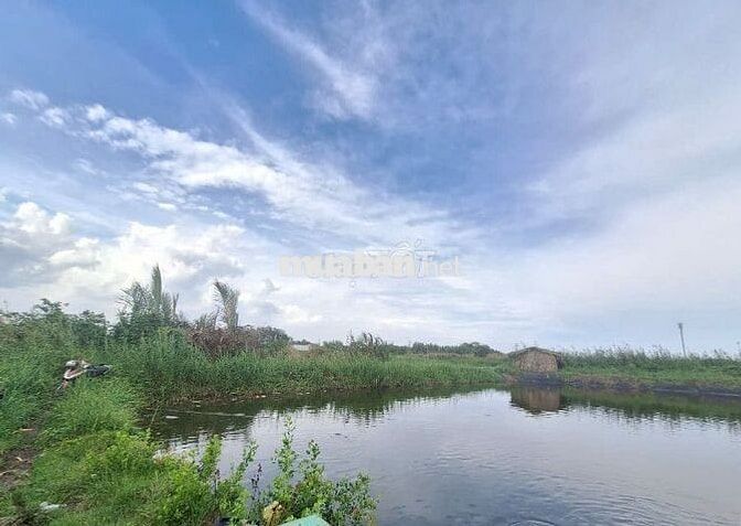 LÔ ĐẤT LÚA NGAY HẺM 1697 LÊ VĂN LƯƠNG NHƠN ĐỨC NHÀ BÈ.
