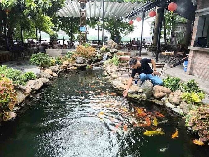Tuyển Dụng Việc Làm Xoay Ca Tại Tân Bình / Gò Vấp