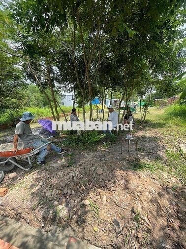 CHÍNH CHỦ CẦN BÁN Lô Đất Tại Ấp Thanh Hoà, Xã Thanh Điền, Huyện Châu T