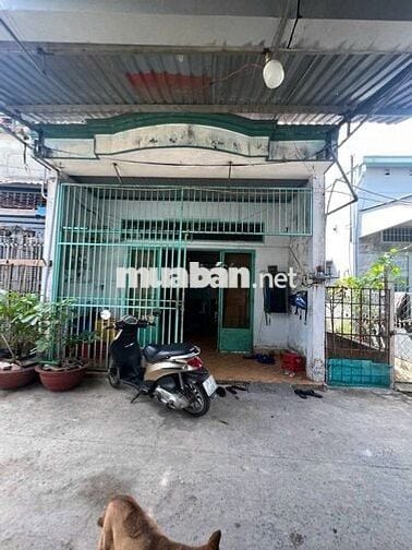 BÁN ĐẤT TẶNG NHÀ TRẦN THỊ CỜ THỚI AN Q12 SÁT TRUNG TÂM GÒ VẤP