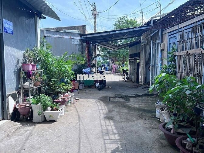 BÁN ĐẤT TẶNG NHÀ TRẦN THỊ CỜ THỚI AN Q12 SÁT TRUNG TÂM GÒ VẤP