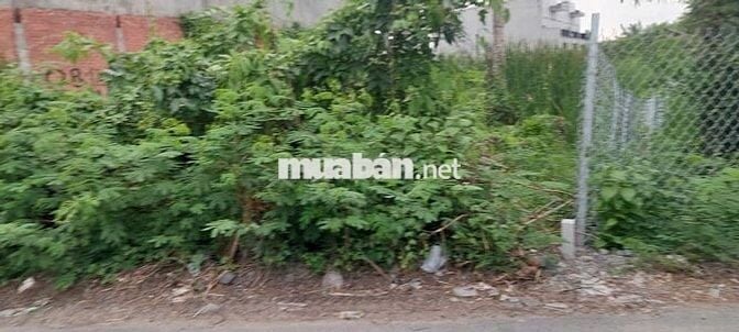 Bán nền đất thổ cư giá rẻ tân quý tây
