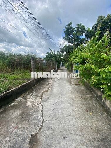 Bán nền đất thổ cư giá rẻ tân quý tây