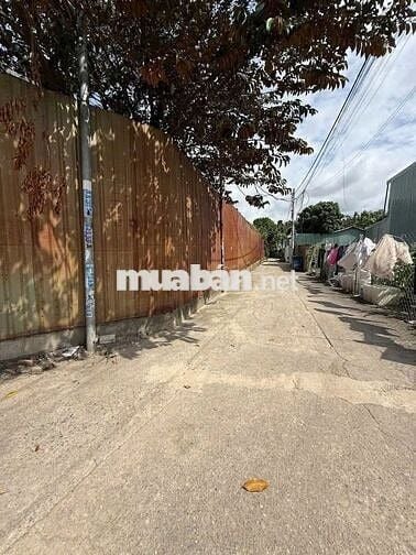 🏡 LÔ GÓC 2 MT ĐƯỜNG BÌNH NHÂM 41 – 404m² – GIÁ 17TR/m²