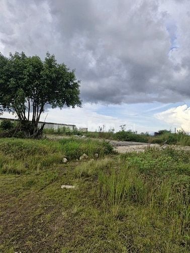 Chuyển nhượng 1.2 ha đất sản xuất kinh doanh tại Lâm Đồng