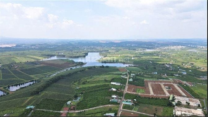 Chuyển nhượng 1.2 ha đất sản xuất kinh doanh tại Lâm Đồng