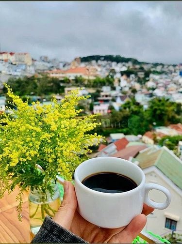 🔥 BÁN KHÁCH SẠN TRUNG TÂM  Đà Lạt – GIÁ TỐT NHẤT THỊ TRƯỜNG 🔥