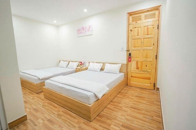 🔥 BÁN KHÁCH SẠN TRUNG TÂM  Đà Lạt – GIÁ TỐT NHẤT THỊ TRƯỜNG 🔥