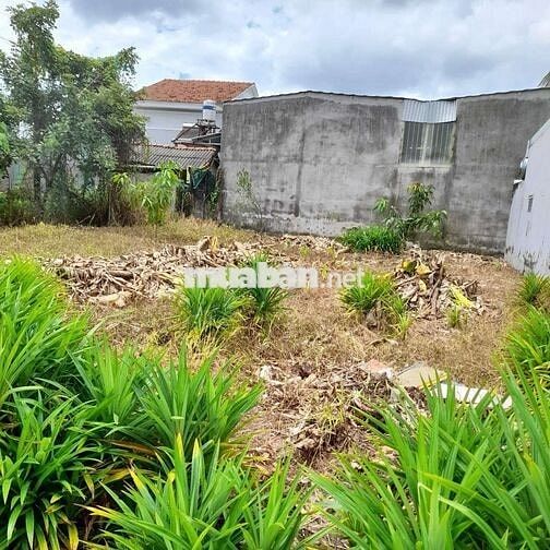 ĐẤT 28X23 CÓ NHÀ 100M2. TÂN QUÝ TÂY. HUYỆN BÌNH CHÁNH