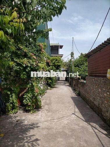 CHO THUÊ PHÒNG TRỌ KHÉP KÍN TẠI  XÃ ĐÔNG DƯ