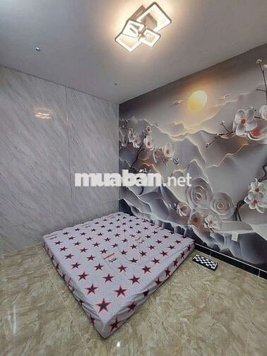 cần bán gấp nhà quận 8 Bông Sao 1T2L diện tích lớn SHR gần UBND, chợ
