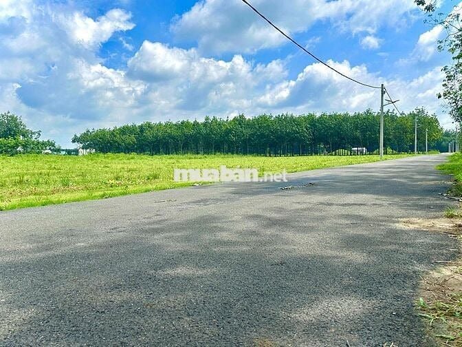 bán đất Chánh Phú Hoà - Bến Cát