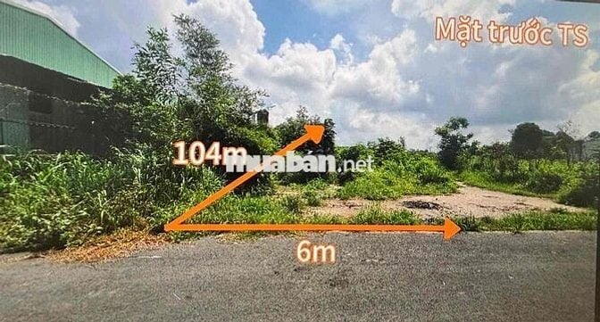 Đất nền 620m2 tại TP. HCM siêu rẻ