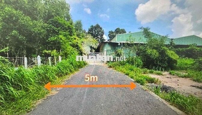 Đất nền 620m2 tại TP. HCM siêu rẻ
