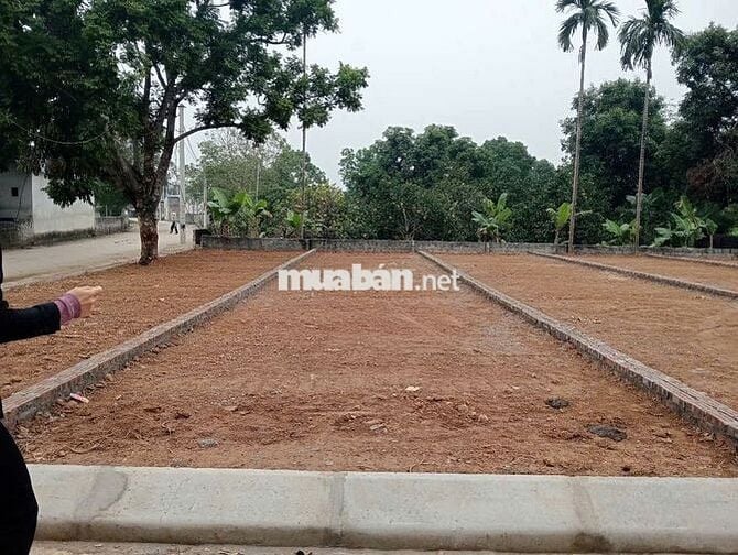 Đất thổ cư Nam Phương Tiến - Chương Mỹ, Hà Nội
